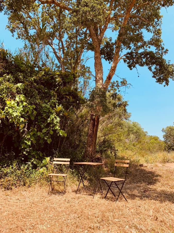 Private Eco Glamping In Aljezur Alfambras Hotel Екстериор снимка